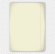 © Roman - White sheet of paper with cells. Isolated background
