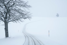 Germany, Upper Bavaria, View Of Snowy Road Near Ascholding