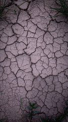 dry cracked earth