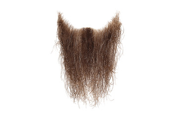 Wall Mural - Disheveled brown beard isolated on white. Mens fashion