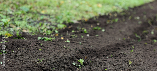 Download Plowed Soil In The Vegetable Garden A Piece Of Land Tilled After Sideration With Rape Plant Empty Mockup Background For Your Design Copy Space Closeup Autumn Agriculture Farming Concept Stock Photo