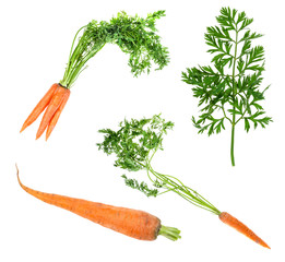 Wall Mural - set of fresh carrots cut out on white