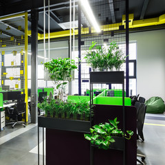 Aufkleber - Corporate office in loft style for freelancer with green plants