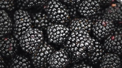 Poster - Blackberry background. Fresh ripe organic blackberries flatlay closeup. Rotation. Slow motion 4K UHD video footage. 3840X2160