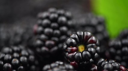 Sticker - Blackberry background. Fresh ripe organic blackberries closeup. Rotation. Slow motion 4K UHD video footage. 3840X2160