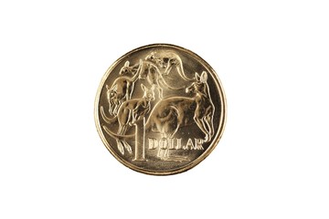 Wall Mural - A gold, shiny Australian one dollar coin isolated on a clean, white background.  Shot close up in macro