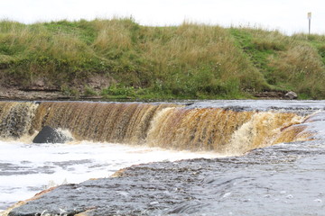 Sticker - Beautiful river view in the park. Mountain waterfall