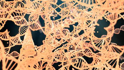 Wall Mural - DNA biotechnology medical research of double helix in human genetics for health - 3D render