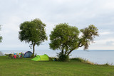 Fototapeta  - Tents and bikes under two trees an early morning on the island of Ven in southern Sweden