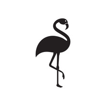 Flamingo Logo Template Vector