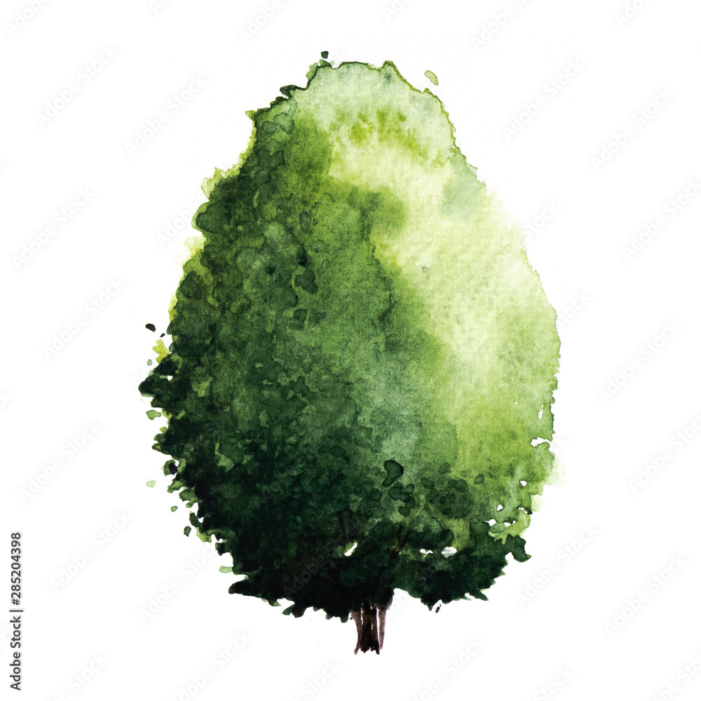 Green tree with leaves. Hand drawn watercolor painting,isolate on white ...