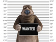3D rendering of an angry cartoon bear in a mugshot.