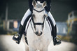 A rider in black boots in the stirrups sits astride a gray horse that walks calmly through the arena
