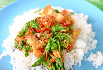 Wall Mural - Close-up Rice topped with Crispy sliced pork and basil leaf. Traditional Thai street food.