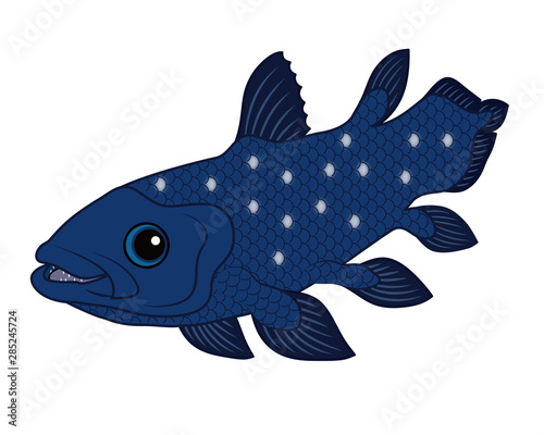 シーラカンス 深海魚 キャラクター イラスト クリップアート Stock Illustration Adobe Stock
