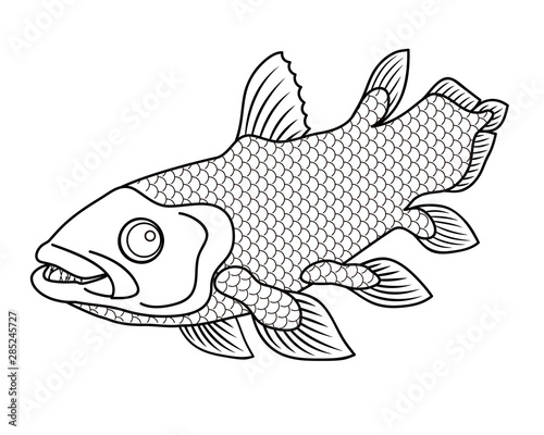 シーラカンス 深海魚 キャラクター ぬりえ イラスト クリップアート Stock Illustration Adobe Stock