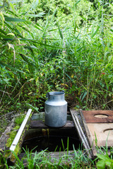 Canvas Print - Well in reeds and can