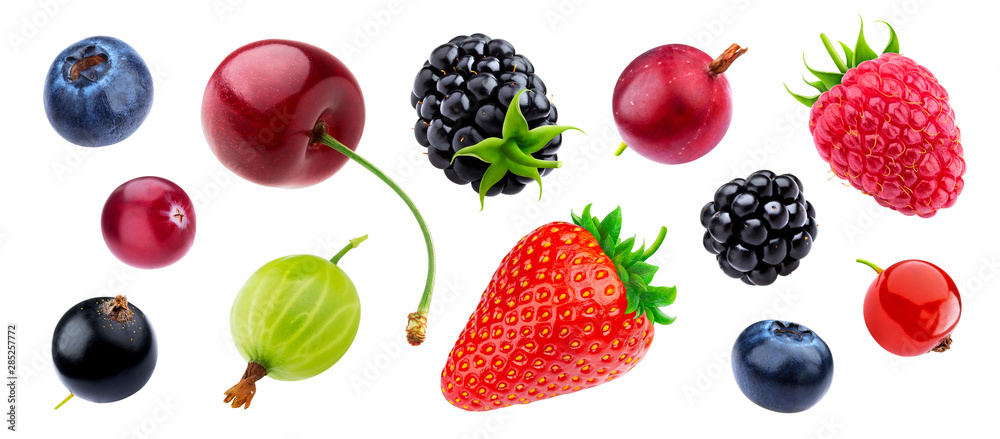 Berries collection isolated on white background with clipping path - obrazy, fototapety, plakaty 