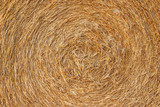 Fototapeta Desenie - agriculture - beautiful texture with golden straw