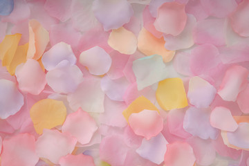 Wall Mural - Abstract background of petals