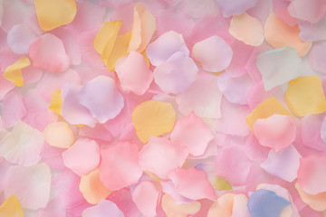 Wall Mural - Abstract background of petals