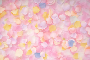 Wall Mural - Abstract background of petals