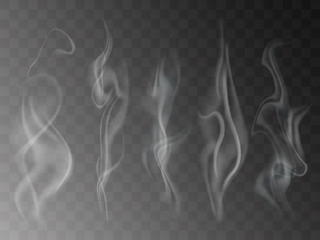 Wall Mural - Smoke isolated on transparent background. Vector  fog, vapor set.