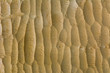 Waves on a carved linden board