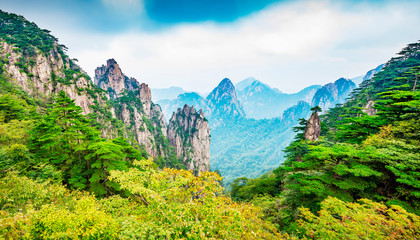 Wall Mural - Landscape of Mount Huangshan (Yellow Mountains). UNESCO World Heritage Site. Located in Huangshan, Anhui, China.