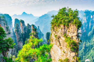 Wall Mural - landscape of zhangjiajie. located in wulingyuan scenic and historic interest area which was designat