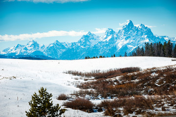 Wall Mural - Grand Teton National Park, Wyoming, USA.