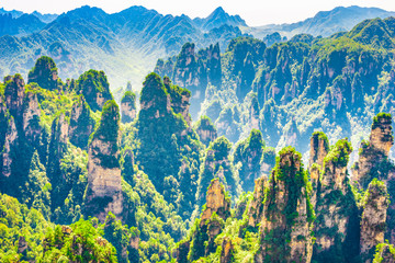 Wall Mural - landscape of zhangjiajie. tianzi mountain scenic area. located in wulingyuan scenic and historic int