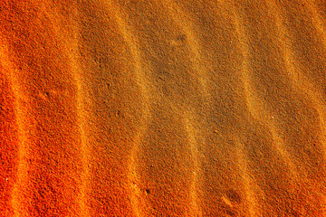 Wall Mural - Texture Sand Dune Desert