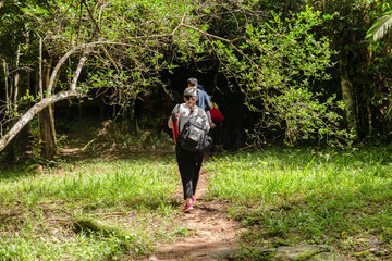 Group of friends photographer walking in the forest with backpack camera and tripod.