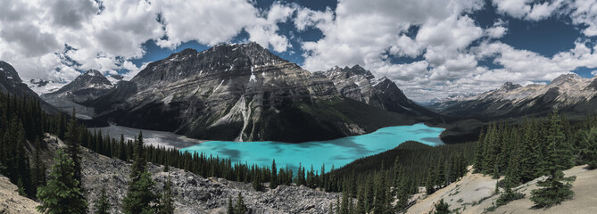 Wall Mural - banff national park - panorama of peyto lake and dramatic landscape along the icefields parkway, can