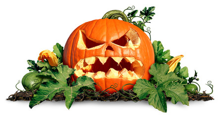 Halloween Pumpkin Jack o Lantern