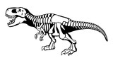 Fototapeta  - Tyrannosaurus rex bones, dinosaur skeleton monochrome illustration