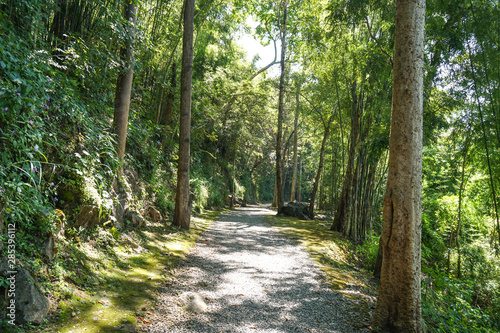 Fotomural The Hell Fire Pass in Kanchanaburi, Thailand