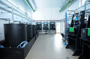 Wall Mural - At the dosing systems hall of the water pumping station: sodium hypochlorite storage tanks and dosing system