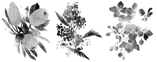 Wall Mural - Monochrome black and white set of flowers and herbs. digital hand drawn picture with watercolour texture. mixed media .artwork. .