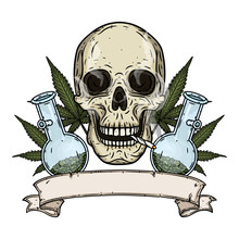 Skull. Skull With Bong And Marijuana Leaves. Rastaman Skull With Cannabis Leafs And Spliff.