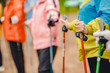 Older women are engaged in Nordic walking, close-up hands with sticks. Sports concept in park