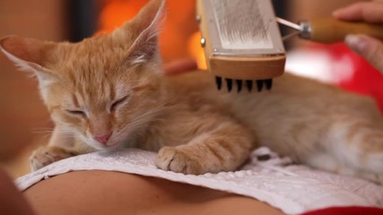 Wall Mural - Orange tabby kitten sleep lying on woman chest enjoy gentle brushing and the warmth of fireplace, close-up, camera slide