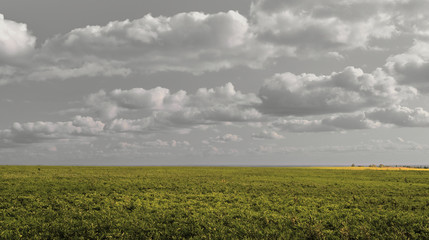 Fresh and beautiful Summer Landscape - gray sky and green grass. Field, sky and puffy clouds. Samara, Russia