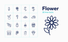 Flower Icons. Set Of Line Icons On White Background. Flower Shop, Houseplant, Flower Basket. Floriculture Concept. Vector Can Be Used For Topics Like Plants, Botany, Gardening