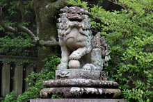 Black And White Photo ,Shisa Or Shishi ,Imperial Guardian Lions Image In Japan,The Male Lion's Jaw Image For .becky Fortune Came At Higashi Tenno Okazaki Shrine ,Kyoto,Japan.