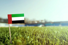 Miniature Stick United Arab Emirates Flag On Green Grass, Close Up Sunny Field. Stadium Background, Copy Space For Text.