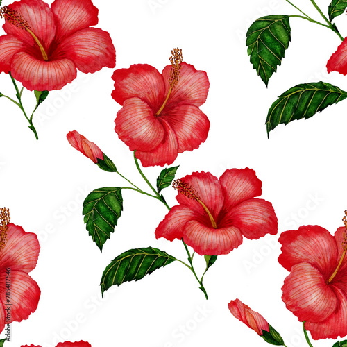 Watercolor seamless pattern with hibiscus. Jungle palm leaves. Fashion style ...