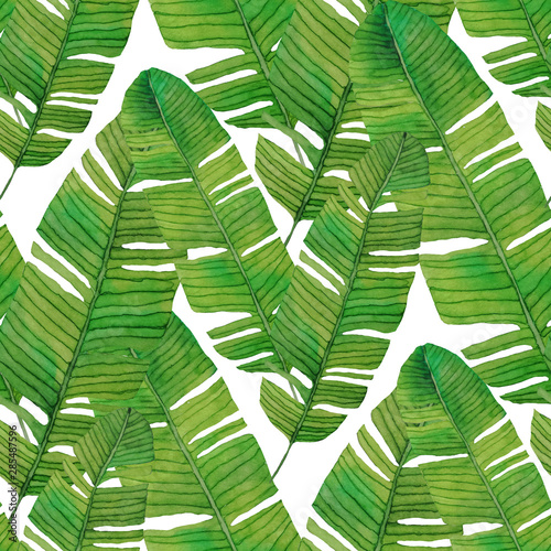 Watercolor seamless pattern with tropical leaves: monstera, banana, palm. Tro...