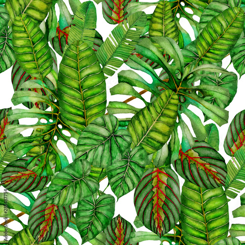 Watercolor seamless pattern with tropical leaves: monstera, banana, palm. Tro...